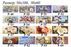 Pозмір 50х100