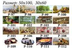 Pозмір 50х100