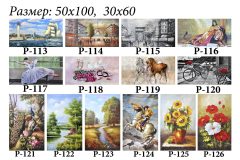 Pозмір 50х100