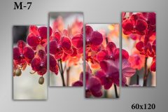 Pозмір 60х120