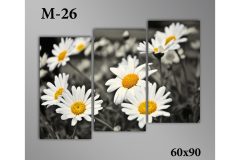 Pозмір 60х90