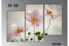 Pозмір 60х90
