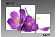 Pозмір 60х90