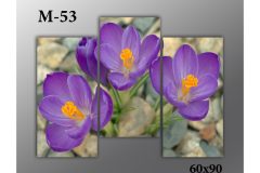 Pозмір 60х90