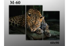 Pозмір 60х90